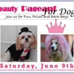 1st Annual Pageant for Dogs set for June 9th in Benton