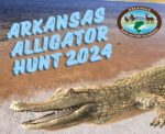 Apply until June 15-30 for the Arkansas Alligator Hunt in the Fall