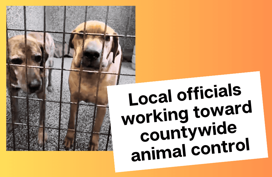 Benton county deals animal shelter