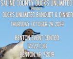Ducks Unlimited Banquet to take flight Oct 24th in Benton