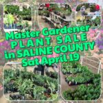 Master Gardener Plant Sale is Saturday morning